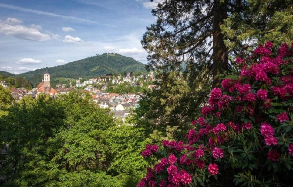 A&A Apartment Baden-Baden Exteriör bild